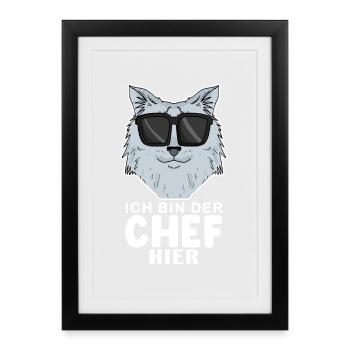 coole Katze - Sibirische Katze - Chef Spruch - Gerahmtes Poster (27 × 37 cm) - Schwarz - Vorne
