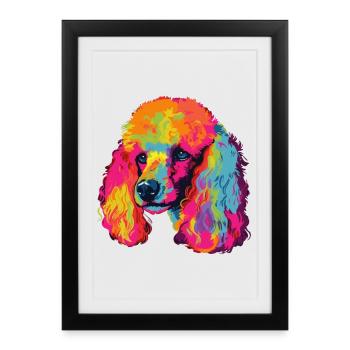 Caniche Chien Coloré - Affiche encadrée (27 × 37 cm) - noir - Devant