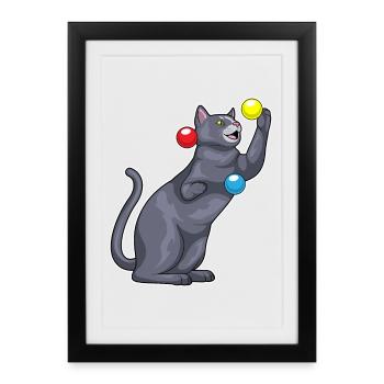 Cat juggler juggling - Framed poster (27 × 37 cm) - black - Front