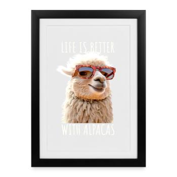 Alpaca Life Is Better With Alpacas Lama Alpacas - Framed poster (27 × 37 cm) - black - Front
