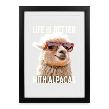 Alpaca Life Is Better With Alpacas Lama Alpacas - Framed poster (27 × 37 cm) - black - Front