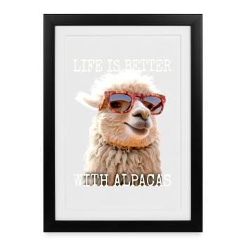 Alpaca Life Is Better With Alpacas Lama Alpacas - Framed poster (27 × 37 cm) - black - Front