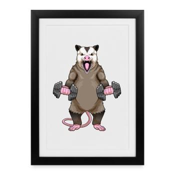 Possum, Bodybuilder, Dumbbells, Bodybuilding - Framed poster (27 × 37 cm) - black - Front