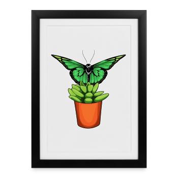Butterfly Flower - Framed poster (27 × 37 cm) - black - Front
