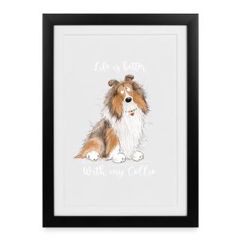 Collie Dogs Saying Collie Rough I Longhair Collie - Affiche encadrée (27 × 37 cm) - noir - Devant