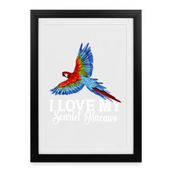 I love my Scarlet Macaws - Framed poster (27 × 37 cm) - black - Front