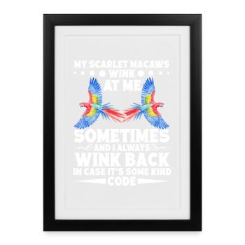 My Scarlet Macaws wink at me sometimes - Framed poster (27 × 37 cm) - black - Front