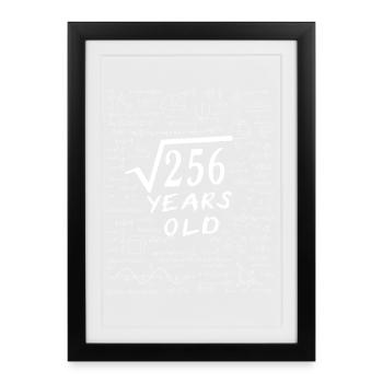 16th Birthday 16 years Square root of 256 math - Framed poster (27 × 37 cm) - black - Front