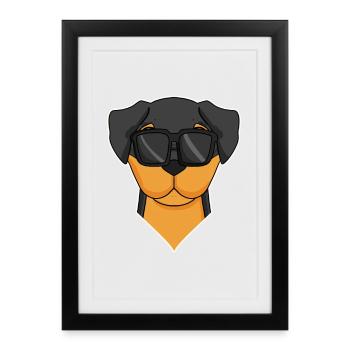 Chien Rottweiler avec des lunettes - chien cool - Affiche encadrée (27 × 37 cm) - noir - Devant