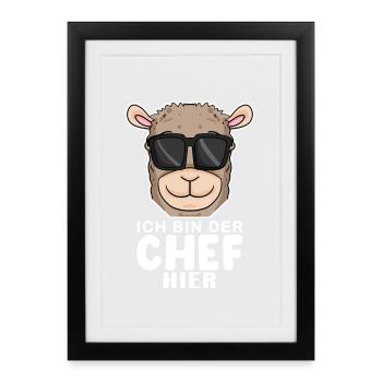 Chef Spruch mit Alpaka Motiv - Gerahmtes Poster (27 × 37 cm) - Schwarz - Vorne