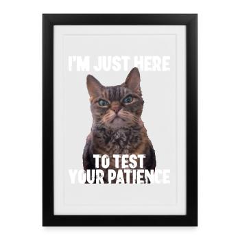 Juste ici pour tester votre patience - Affiche encadrée (27 × 37 cm) - noir - Devant