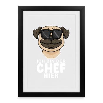 Chef Spruch Anführer Hund Mops Motiv - Gerahmtes Poster (27 × 37 cm) - Schwarz - Vorne