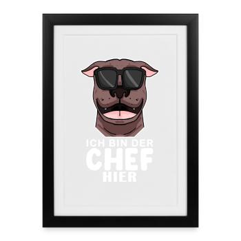 Chef Spruch Anführer Hund - Gerahmtes Poster (27 × 37 cm) - Schwarz - Vorne