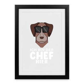 Chef Spruch Anführer Hund Pointer Motiv - Gerahmtes Poster (27 × 37 cm) - Schwarz - Vorne