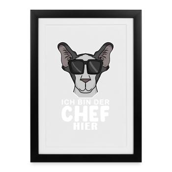 Chef Spruch Anführer Hund - Gerahmtes Poster (27 × 37 cm) - Schwarz - Vorne