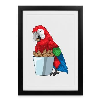 Parrot Peanut - Framed poster (27 × 37 cm) - black - Front