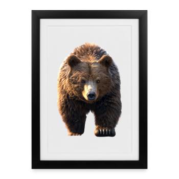 Brown Bear, Grizzly Bear, Bear Brothers, Dad, Wild Bears - Framed poster (27 × 37 cm) - black - Front