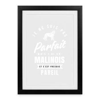 Belgian Malinois Shepherd Gift Idea - Framed poster (27 × 37 cm) - black - Front