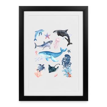 Monde sous-marin, animaux marins - Affiche encadrée (27 × 37 cm) - noir - Devant
