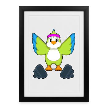 Parrot Bodybuilder Barbell Bodybuilding - Affiche encadrée (27 × 37 cm) - noir - Devant