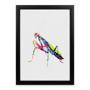 Mante religieuse Mante religieuse Mante d’amour Mante - Affiche encadrée (27 × 37 cm) - noir - Devant