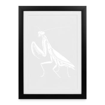 Praying Mantis Praying Mantis Love Mantis - Framed poster (27 × 37 cm) - black - Front