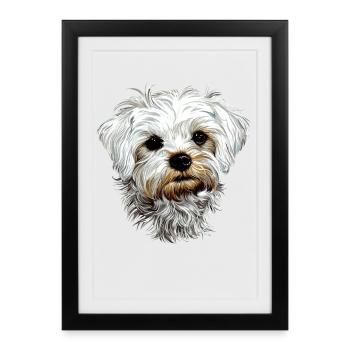 Maltais Petit Chien Maltais Amour Doux Maltais - Affiche encadrée (27 × 37 cm) - noir - Devant