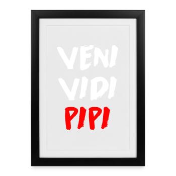 Veni Vidi Vici - Funny Toilet Humor - Framed poster (27 × 37 cm) - black - Front