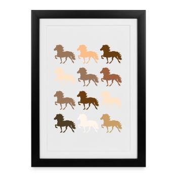 Cheval islandais - Affiche encadrée (27 × 37 cm) - noir - Devant