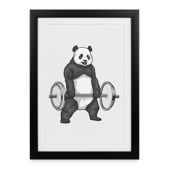 Panda Bodybuilder Barbell Bodybuilding - Affiche encadrée (27 × 37 cm) - noir - Devant