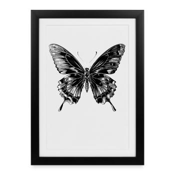 Butterfly Wings Colorful Butterfly Butterflies - Framed poster (27 × 37 cm) - black - Front