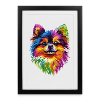 Poméranien Poméranien Poméranien Spitz allemand doux - Affiche encadrée (27 × 37 cm) - noir - Devant