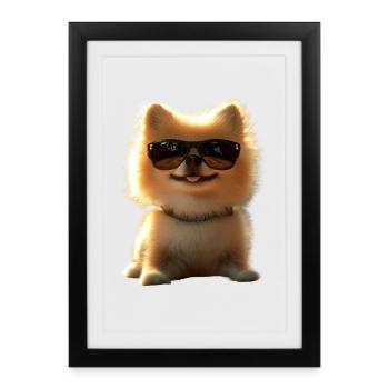 Poméranien Poméranien Poméranien Spitz allemand doux - Affiche encadrée (27 × 37 cm) - noir - Devant