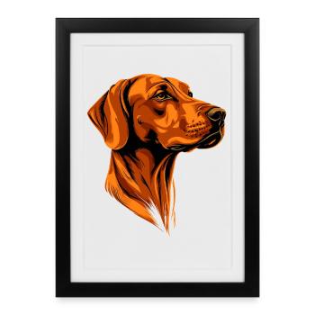 Rhodesian Ridgeback Chien de chasse Chiens Pride Ridgeback - Affiche encadrée (27 × 37 cm) - noir - Devant