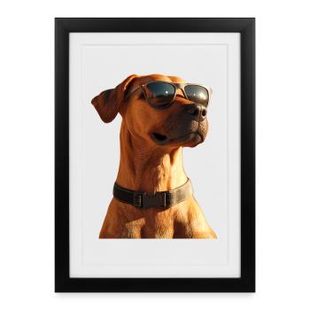 Rhodesian Ridgeback Chien de chasse Chiens Pride Ridgeback - Affiche encadrée (27 × 37 cm) - noir - Devant