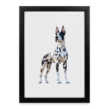 Great Dane Hatz Male Saupacker Great Dane - Framed poster (27 × 37 cm) - black - Front