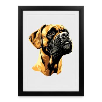 German Boxer Dog Boxer Club German Boxer Club - Framed poster (27 × 37 cm) - black - Front
