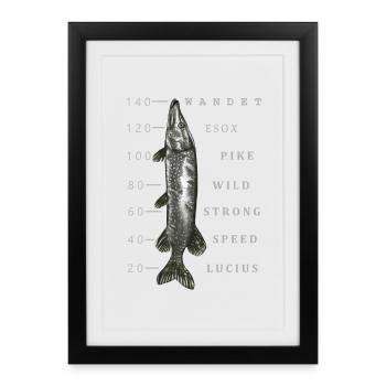 Gros brochet - Affiche encadrée (27 × 37 cm) - noir - Devant