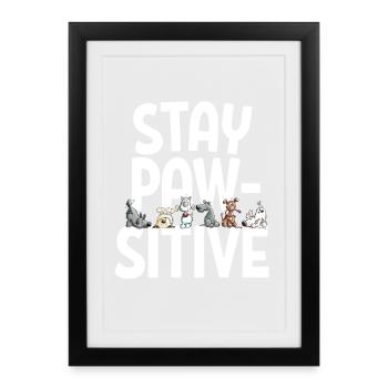 Happy Dog Team Dogs Dogs disant Restez Pawsitive - Affiche encadrée (27 × 37 cm) - noir - Devant