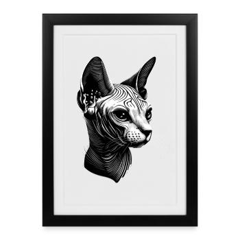 Chat Sphynx Chat Sphynx Chat Canadien Mignon Sphinx - Affiche encadrée (27 × 37 cm) - noir - Devant