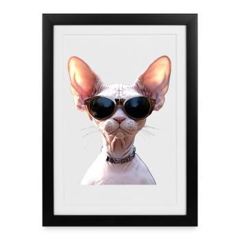 Chat Sphynx Chat Sphynx Chat Canadien Mignon Sphinx - Affiche encadrée (27 × 37 cm) - noir - Devant