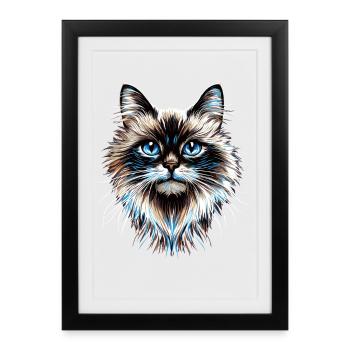 Chat Ragdoll Chat Ragdoll Chat Mignon Chats Ragdoll - Affiche encadrée (27 × 37 cm) - noir - Devant