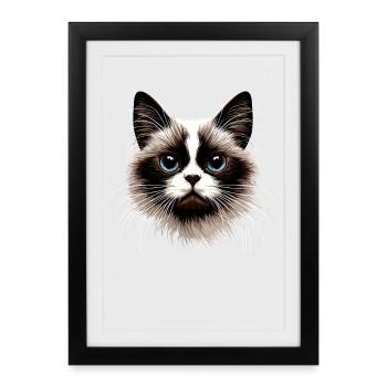 Chat Ragdoll Chat Ragdoll Chat Mignon Chats Ragdoll - Affiche encadrée (27 × 37 cm) - noir - Devant