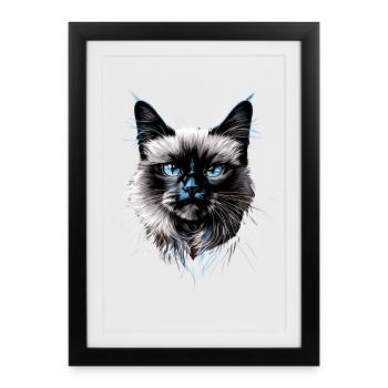 Birman Cat Sacred Birman Cat Cute Birman Cats - Framed poster (27 × 37 cm) - black - Front