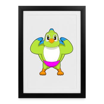 Parrot Bodybuilder Bodybuilding Sport - Affiche encadrée (27 × 37 cm) - noir - Devant