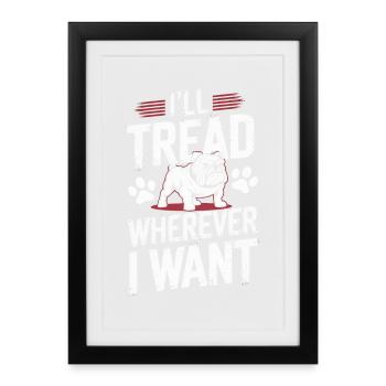 Bulldog, je vais marcher où je veux Humour canin - Affiche encadrée (27 × 37 cm) - noir - Devant