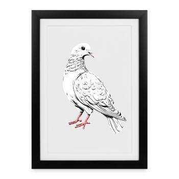 Pigeon White City Pigeon Wood Pigeon White Doves - Framed poster (27 × 37 cm) - black - Front