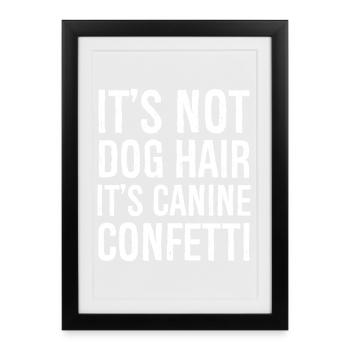 Ce n’est pas une chemise drôle en poil de chien - Affiche encadrée (27 × 37 cm) - noir - Devant