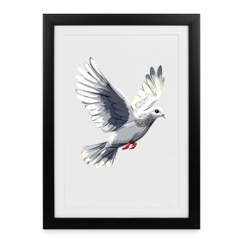 Colombe Blanche Paix Paix Bois Colombe Colombes Blanches - Affiche encadrée (27 × 37 cm) - noir - Devant