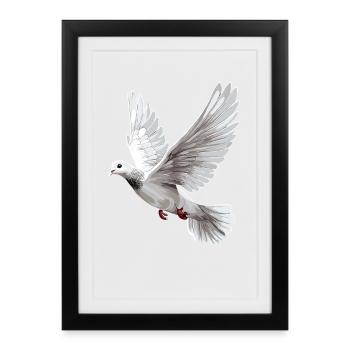 Colombe Blanche Paix Paix Bois Colombe Colombes Blanches - Affiche encadrée (27 × 37 cm) - noir - Devant